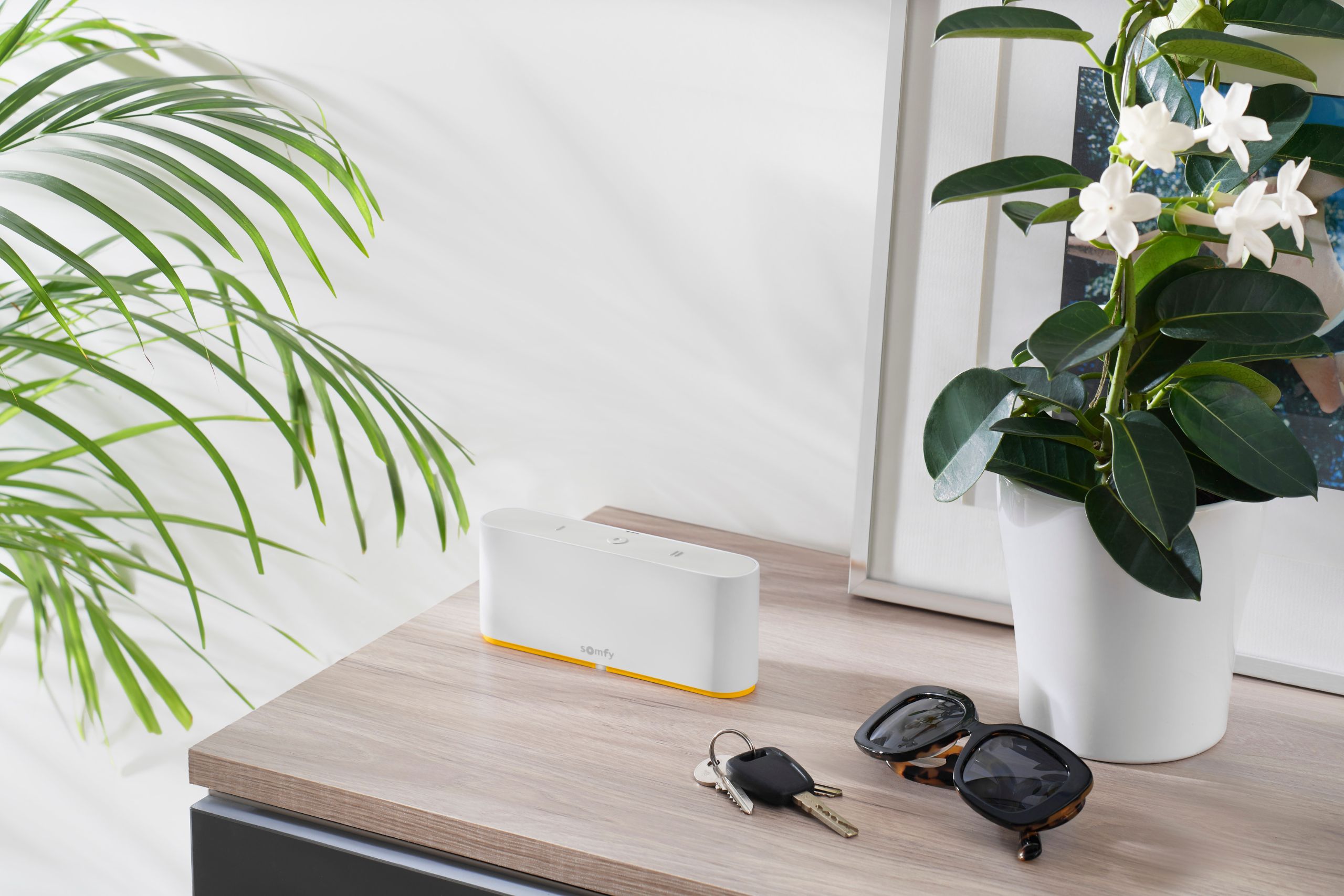 Tahoma Switch van Somfy